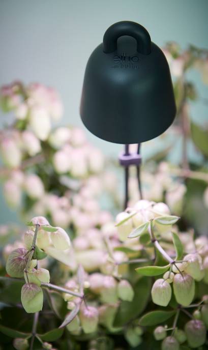 leaf light care 36cm living black